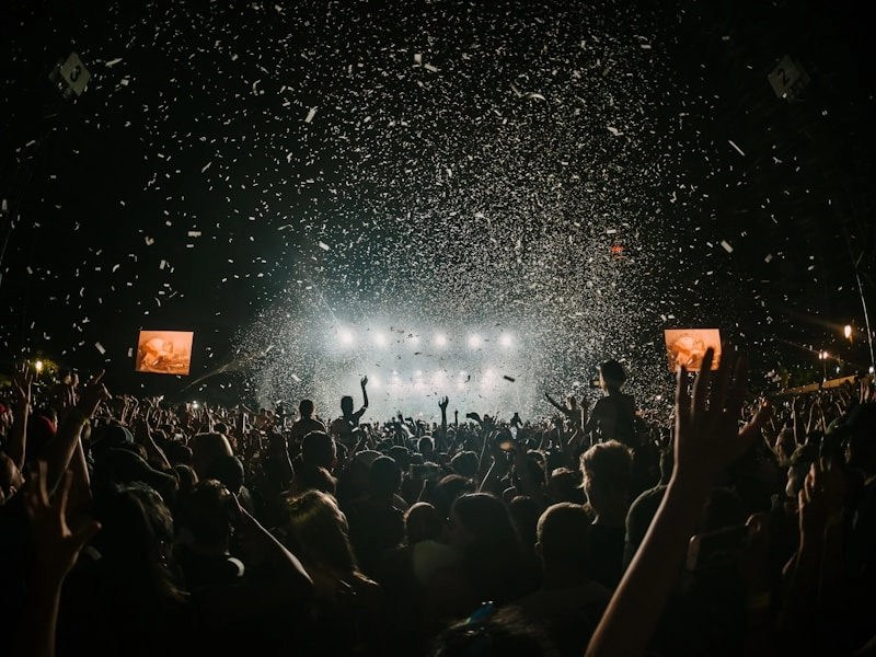 DJ Vrana na nastupu - Summer Music Festival, Klub